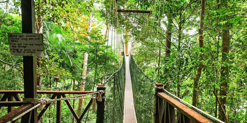 From Kuala Lumpur: Full-Day Taman Negara National Park - Who This Tour Suits Best (And Who Might Prefer Something Else)