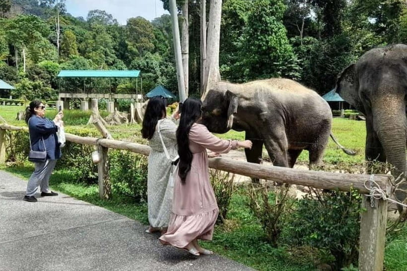 From Kuala Lumpur: Kuala Gandah & Batu Caves Day Trip - What the Driver and Guide Teach You Along the Way