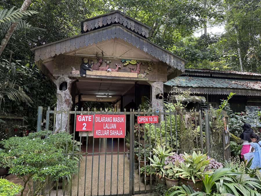From Kuala Lumpur: Kuala Gandah Elephant Sanctuary Day Trip - Electric Fence viewing, mahout education, and the best moments to catch