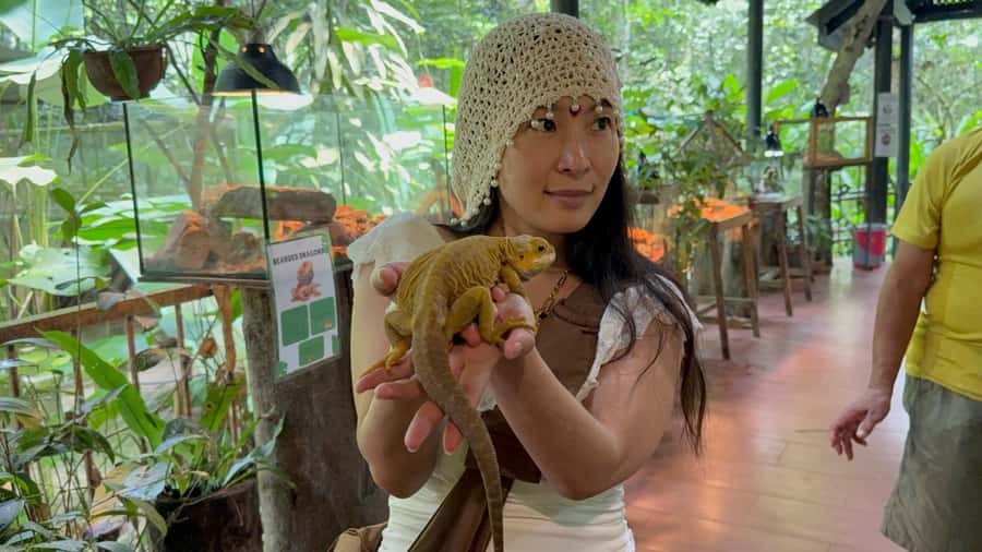 From Kuala Lumpur: Kuala Gandah Elephant Sanctuary Day Trip - Who this day trip suits best, and who should skip it