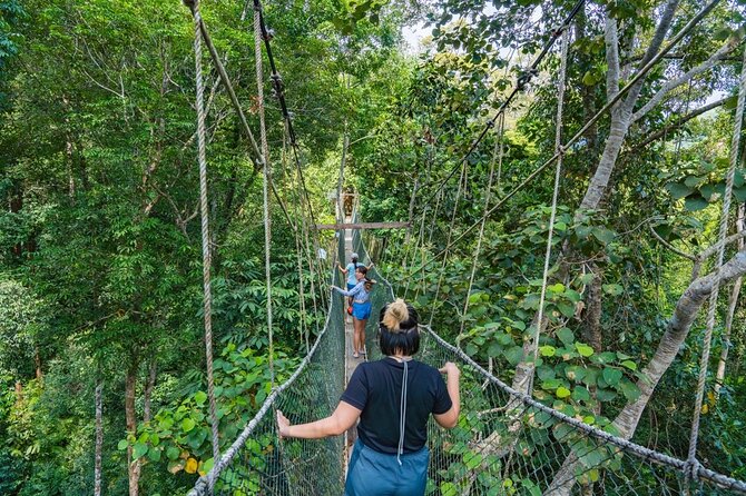 From Kuala Lumpur Taman Negara Day Trip With Lunch - Key highlights to know before you go