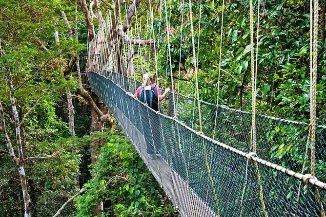 From Kuala Lumpur Taman Negara Day Trip With Lunch - From 6:00 am Kuala Lumpur to a 130-million-year-old rainforest