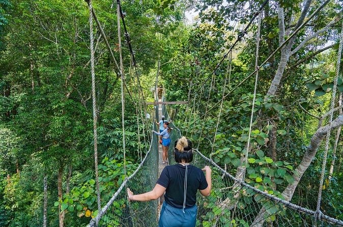 From Kuala Lumpur Taman Negara Day Trip With Lunch - Lunch and pacing: how to make a 10-hour rainforest day feel doable