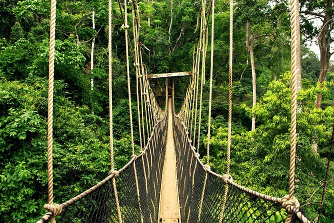From Kuala Lumpur Taman Negara Day Trip With Lunch - Price value: what $178 per person is really covering