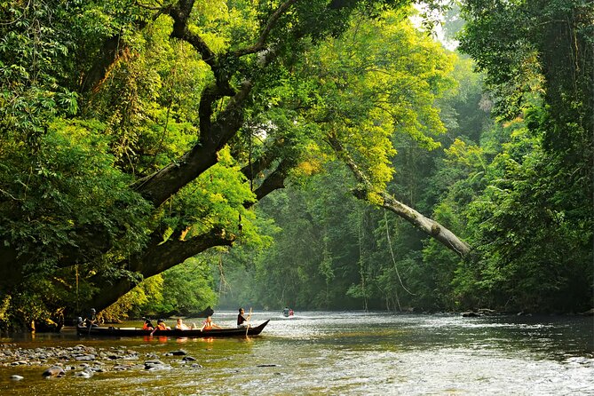 From Kuala Lumpur Taman Negara Day Trip With Lunch - The travel math: a long day that’s actually organized