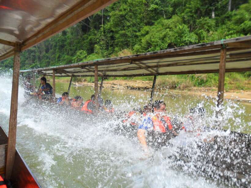 From Kuala Lumpur: Taman Negara National Park Trek Day Tour - Key highlights to know before you go