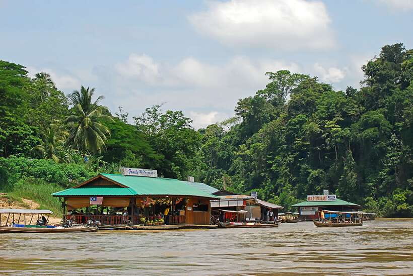 From Kuala Lumpur: Taman Negara National Park Trek Day Tour - Taman Negara from Kuala Lumpur: what makes this day tour work