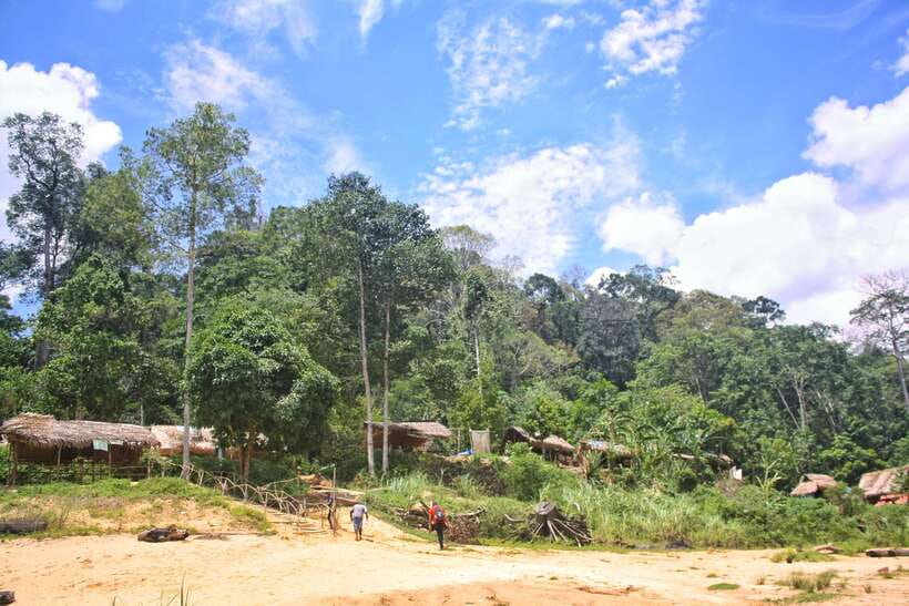 From Kuala Lumpur: Taman Negara National Park Trek Day Tour - What the guide does for your day (and why names matter)