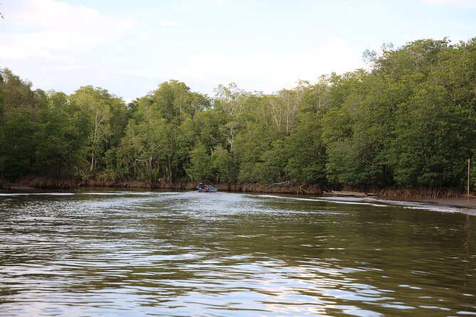 Full Day Bongawan River Cruise with Proboscis Monkey Sightseeing - What to bring for an easy day on the river