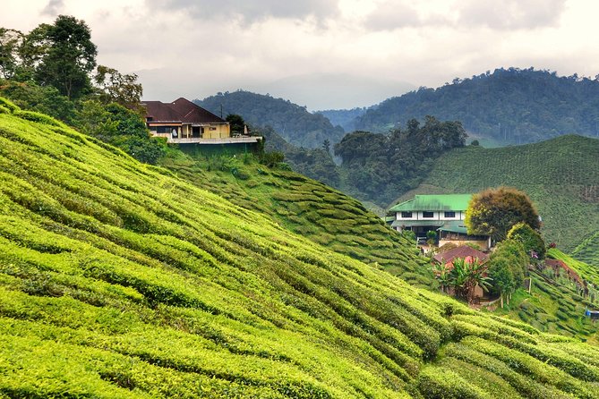 Full-day Cameron Highlands Day Trip from Kuala Lumpur - Lata Iskandar waterfall: a jungle break with real hangout time