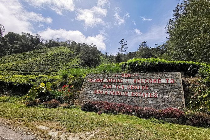 Full-day Cameron Highlands Day Trip from Kuala Lumpur - Big Red Strawberry Farm: choose this for snacks, paths, and shade