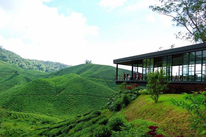 Full-day Cameron Highlands Day Trip from Kuala Lumpur - Time, traffic, and tour rhythm: how to avoid the common pitfalls