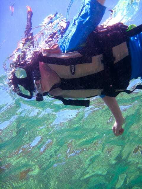 Full-Day Guided Snorkeling Tour from Kota Kinabalu - Key Highlights You Should Know