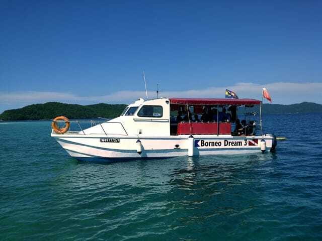 Full-Day Guided Snorkeling Tour from Kota Kinabalu - What You’ll See Underwater, From Nemo to Turtles