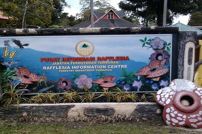 Full Day JomTour! Memorable Experience in Kota Kinabalu, Sabah - Nabalu Market: a practical break with Mt. Kinabalu views