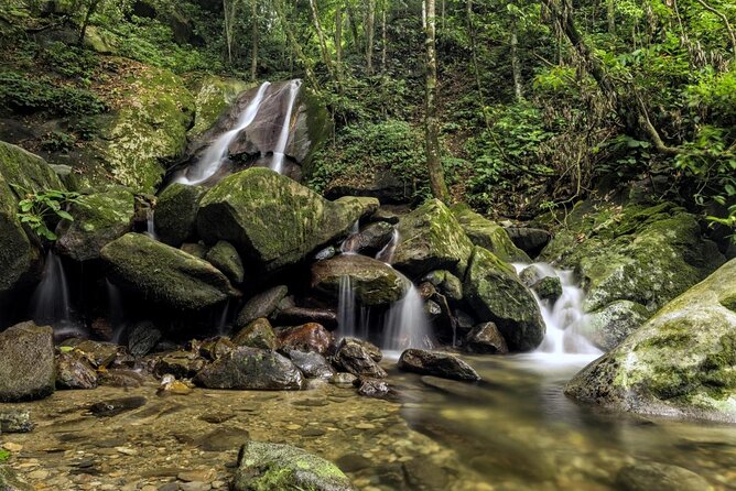 Full-Day Kinabalu Park and Poring Hot Spring Day Trip - West Coast Sabah, Simplified: What This Day Trip Really Delivers