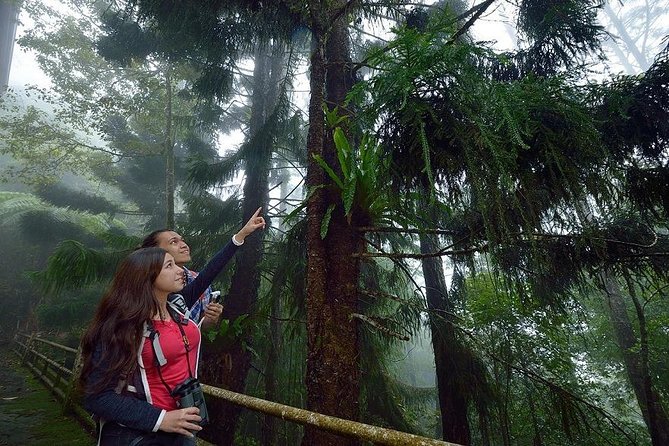 Full-Day Kinabalu Park and Poring Hot Spring Day Trip - Kinabalu Park: A Guided Trek in a UNESCO World Heritage Setting
