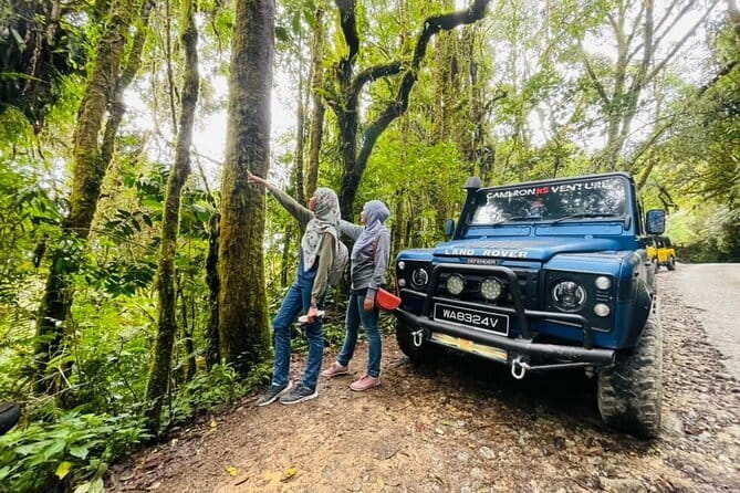 Full Day Mossy Forest Experience - Key things I’d watch for