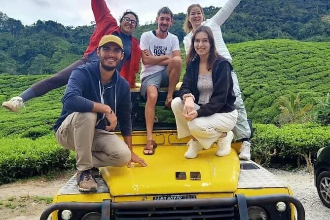 Full Day Mossy Forest Experience - Raju Hill strawberry picking for a quick hands-on break