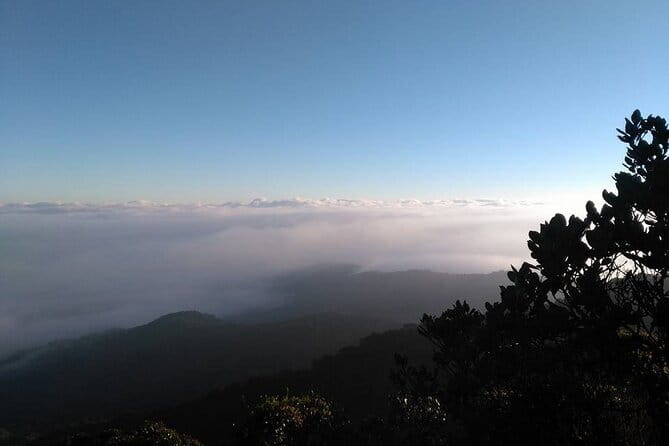 Full Day Mossy Forest Experience - BOH Tea Centre and the tea factory moment