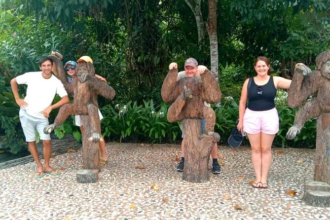 Full Day Orang Utan Sepilok, Proboscis Monkey, Sunbear, RDC - Key highlights you should care about