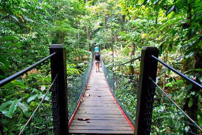Full Day Orang Utan Sepilok, Proboscis Monkey, Sunbear, RDC - Why This Sandakan Wildlife Combo Day Feels Efficient