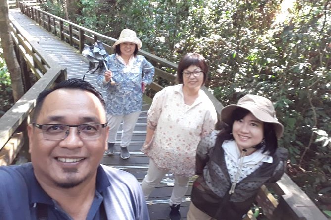 Full-Day Sepilok Orangutan and Sandakan City Trail from Kota Kinabalu - Morning at Sepilok: feeding, learning, and rainforest time