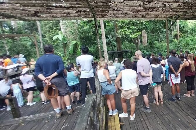 Full-Day Sepilok Orangutan and Sandakan City Trail from Kota Kinabalu - Sandakan city sights: temples, church, and the market area