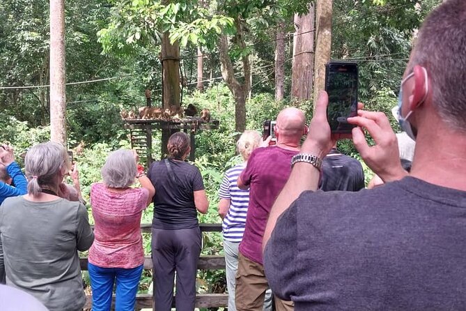 Full-Day Sepilok Orangutan and Sandakan City Trail from Kota Kinabalu - Group size, comfort, and how to get the most out of it