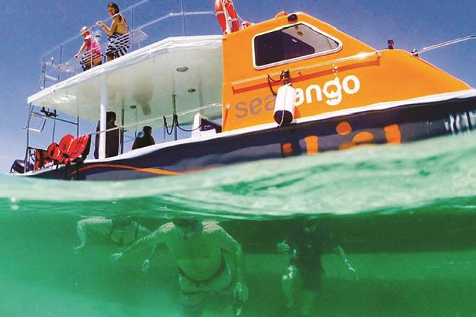 Fun Boat Snorkeling and Island Visit from Kota Kinabalu - Seatango fun boat to the first snorkeling point