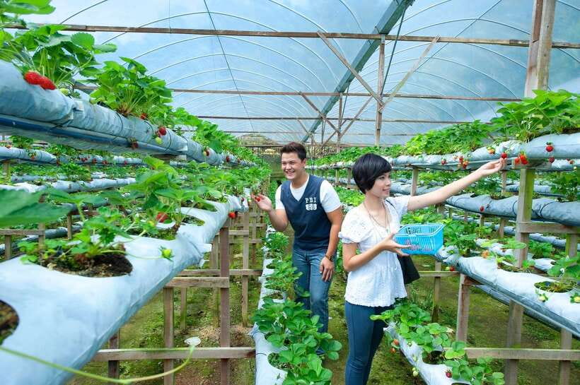Genting Highland: Private Day Trip from Kuala Lumpur - Price and value: what you pay for, and when it is worth it
