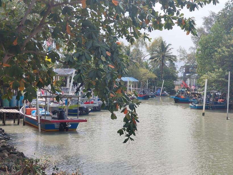 George Town: Balik Pulau Countryside Morning Cycling Tour - Practical Packing Checklist (So You Don’t Regret It)