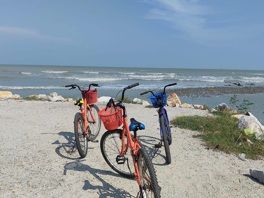George Town: Balik Pulau Countryside Morning Cycling Tour - The 30-Minute Break: Snack, Drinks, and Tastes From Nearby Farms