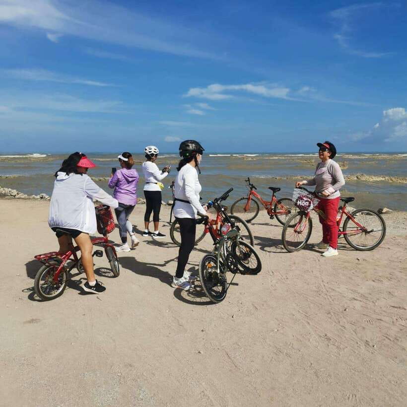 George Town: Balik Pulau Countryside Morning Cycling Tour - Bike Comfort and Small Friction Points: What to Expect in Real Life