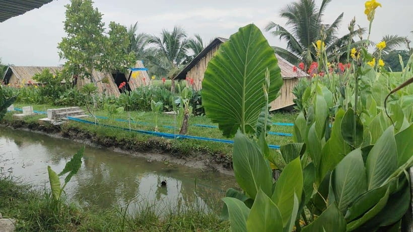 George Town: Balik Pulau Countryside Morning Cycling Tour - What’s Included, and Why the Price Makes Sense