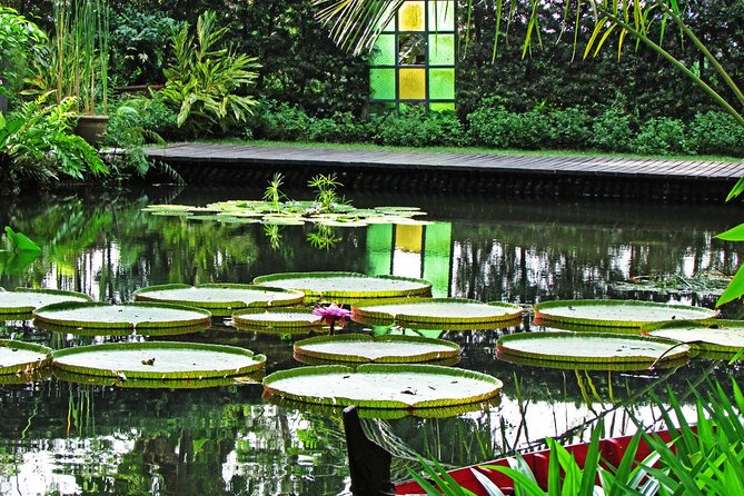 George Town Highlights & Upside Down Museum tours (4 Hours) - Coffee Tree Sampling and the Craft-Culture Moment