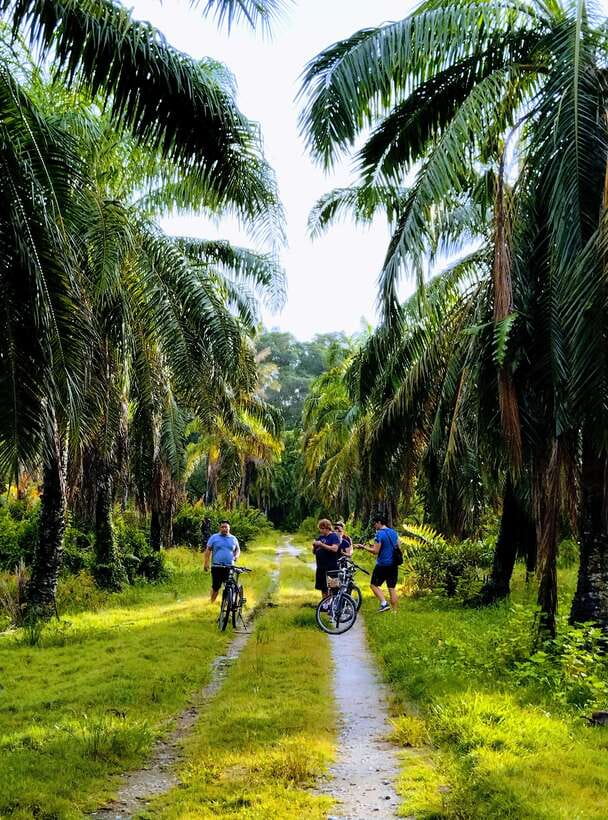 George Town, Penang: Malay Countryside Cycling - Key highlights worth your morning