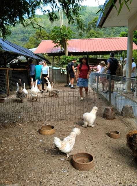 George Town, Penang: Malay Countryside Cycling - How long it really is: a 270-minute outing built around a 2.5-hour ride