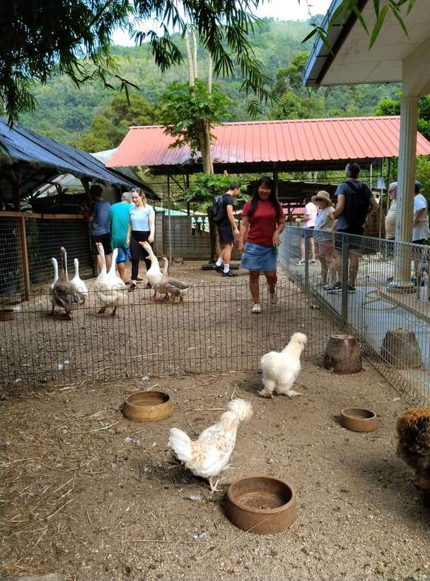 George Town, Penang: Malay Countryside Cycling - The bikes and the riding level: easy terrain, basic equipment