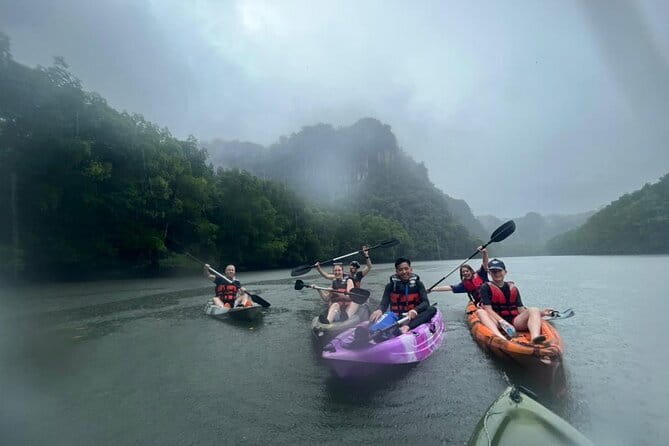 Half-day 4 Hours Kilim Mangrove Kayaking (Without hotel pickups) - Should you book this Kilim mangrove kayaking tour?
