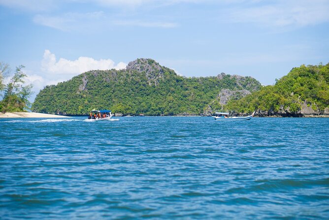 Half-Day Geopark Cruise from Langkawi - Your JungleWalla portion: wildlife spotting without the chaos