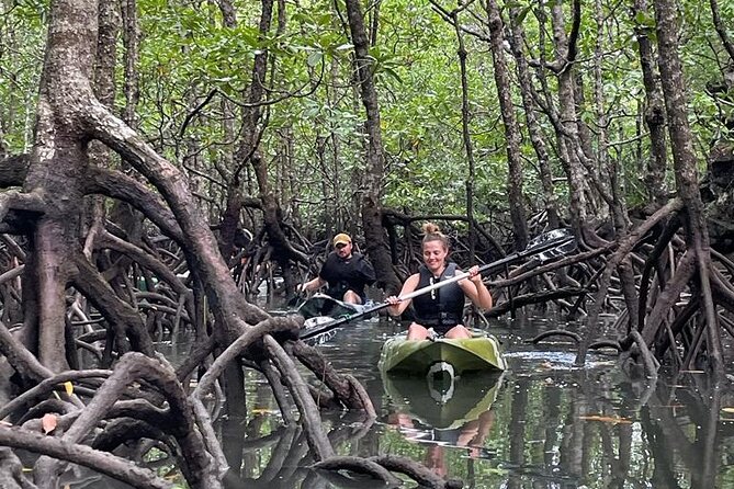 Half-Day Geopark Mangrove Kayaking Adventure - Highlights at a Glance