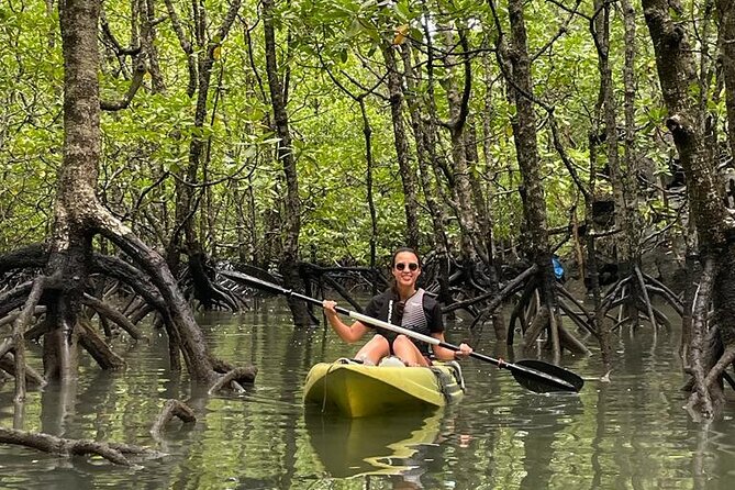 Half-Day Geopark Mangrove Kayaking Adventure - Kayaking the Narrow Mangroves: Eagle Area, Limestone Edges, and Wildlife Chances