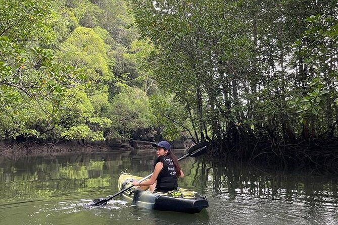 Half-Day Geopark Mangrove Kayaking Adventure - Bat Cave Time: Poking Curiosity in the Dark