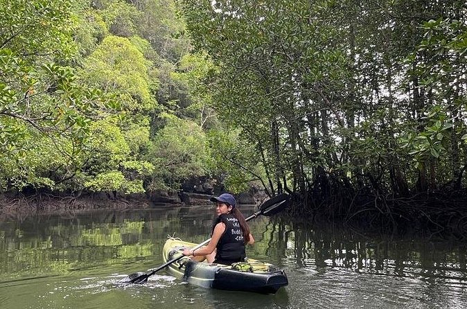 Half-Day Geopark Mangrove Kayaking Adventure - Lunch at the Fish Farm: Included Food That Keeps You Going