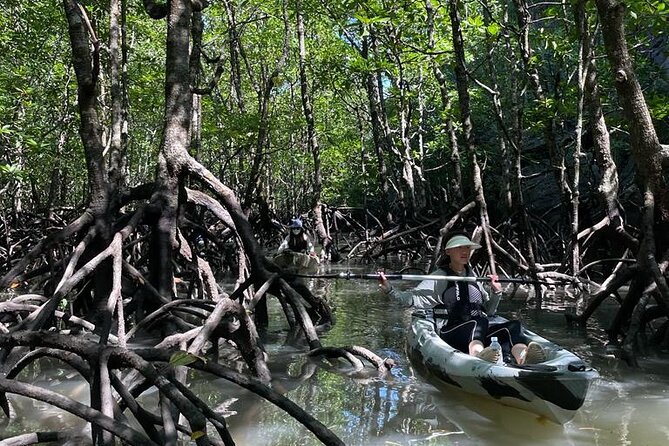 Half-Day Geopark Mangrove Kayaking Adventure - Gear and Safety: Dry Bag, Life Jacket, and a Guided First Paddle