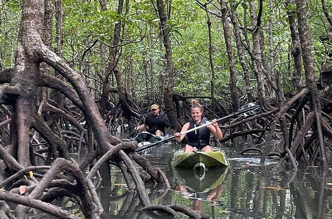 Half-Day Geopark Mangrove Kayaking Adventure - Price and Value: Why $67.68 Can Make Sense for a Half-Day