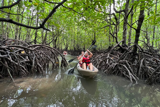 Half-Day Mangrove Kayaking in Langkawi - Where Kilim’s mangroves fit into your Langkawi day
