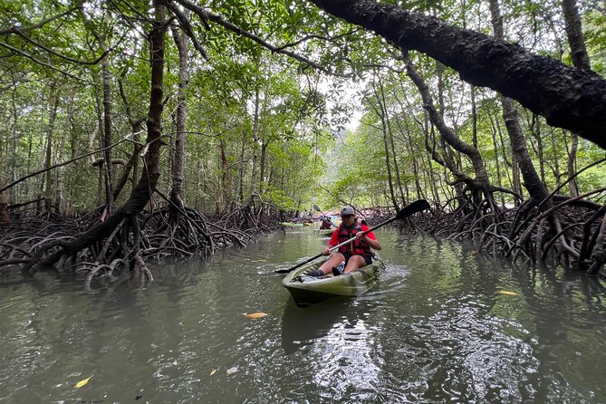 Half-Day Mangrove Kayaking in Langkawi - The 10:30 briefing: dry bags, water, and the pace that makes kayaking feel easy