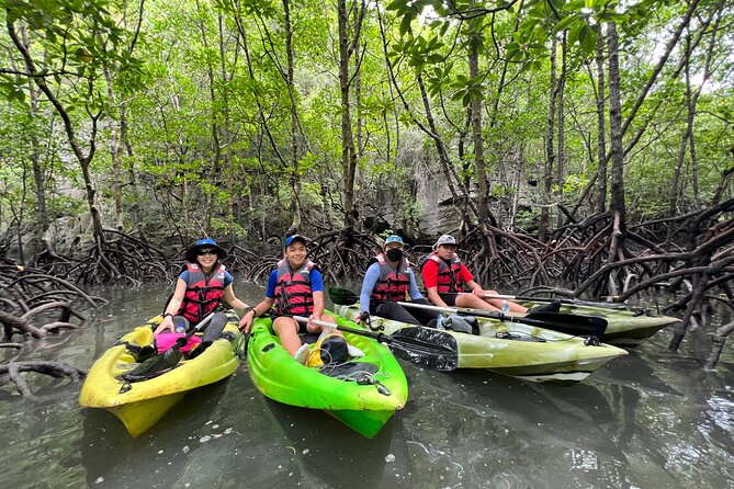 Half-Day Mangrove Kayaking in Langkawi - 11:00 on the main river, then into mangrove jungle